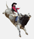 Bull rider wearing a mouthguard while riding a bull